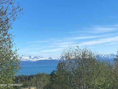 58150 Glacier View Rd, Fritz Creek, AK 99603 - photo 2