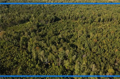 0 Chris Run unit 10611263, Louisa, VA 23093 - photo 3