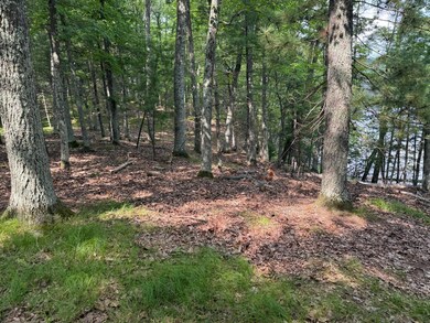 Lot 3 Pine Shore Ln, St. Germain, WI 54558 - photo 4