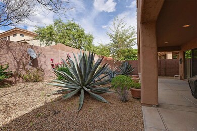 Agave