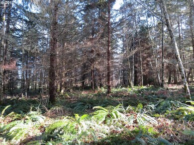 0 Cousins Rd unit 3 17223585, Chehalis, WA 98532 - photo 6