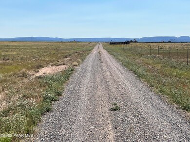 S2 228 Off of Route 66, Ash Fork, AZ 86320 - photo 6