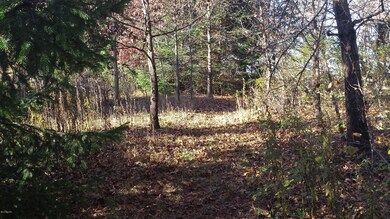 20151103_160042