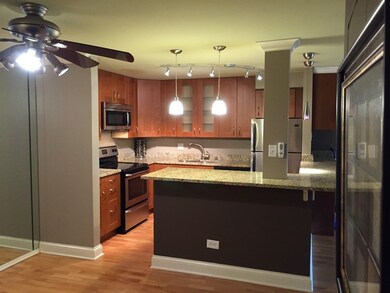 960 S River Rd unit 304, Des Plaines, IL 60016 - photo 6