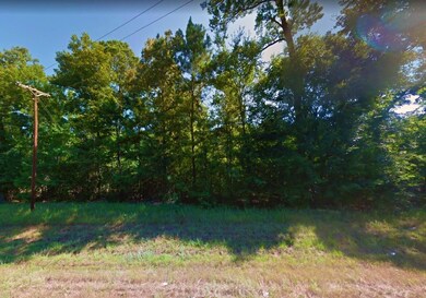 Tahiti Dr, Jefferson, TX 75657 - photo 3