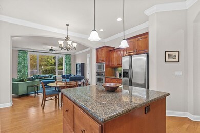 Granite countertops - nice island