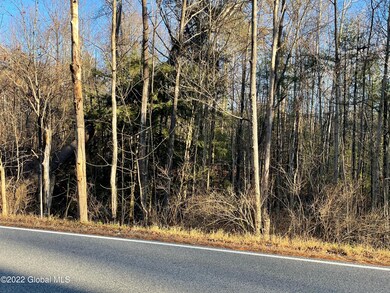 110 Middle Rd unit Lot 2, Lake George, NY 12845 - photo 4