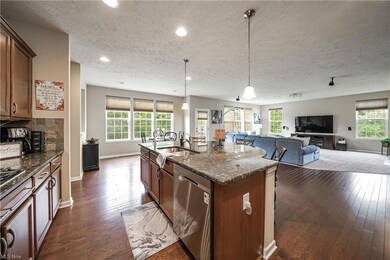 700 Shannon Place, Aurora, OH 44202 - photo 6