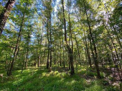 ParceL A S, Taylorsville, MS 39168 - photo 6