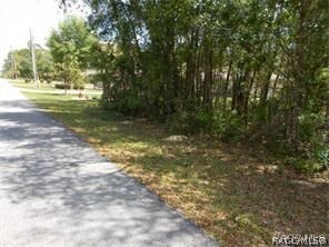 unlisted-address, Hernando, FL 34442 - photo 3