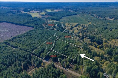 15 W Ford Rd unit Lot 3, Matlock, WA 98560 - photo 3