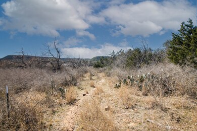 5 E Lower Crabapple Rd unit 5, Fredericksburg, TX 78624 - photo 2