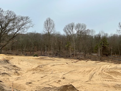 5658 Bauman Rd, Battle Creek, MI 49017 - photo 5