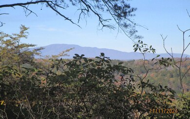 0 Dean Rd unit 311867, Mineral Bluff, GA 30559 - photo 4