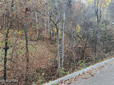 0 Pulaski Ln unit 1282050, Sevierville, TN 37862 - photo 5