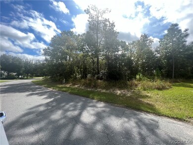 2 Primula Ct W, Homosassa, FL 34446 - photo 6