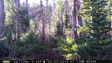 571 W Kokopelli Loop unit SVE unit C Blk C Lot, Brian Head, UT 84719 - photo 3