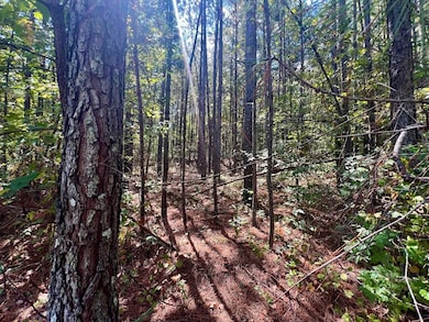 1150 Denton Rd unit 371, Douglasville, GA 30134 - photo 3