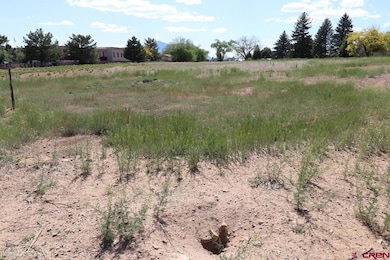 915 S Broadway, Cortez, CO 81321 - photo 6