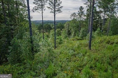 Lot 195 Blalock Mountain Rd, Talking Rock, GA 30175 - photo 7