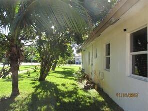 Side yard with coconut tree