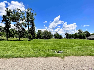 3224 Stanford Levy Rd, Darrow, LA 70725 - photo 3