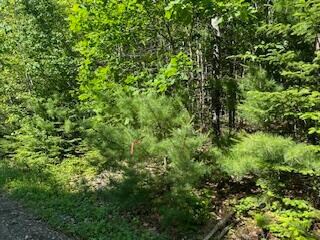 Lot #4 Bonnie Way, Winterport, ME 04496 - photo 6