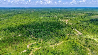 0 Timbercrest Rd unit 649777, Fountain, FL 32438 - photo 4