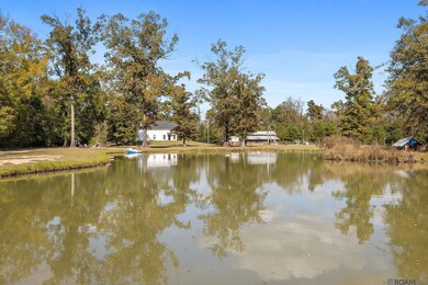 32028 N Doyle Rd, Holden, LA 70744 - photo 2