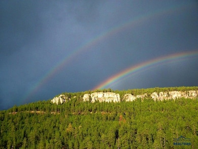 12726 Nemo Rd, Nemo, SD 57759 - photo 5