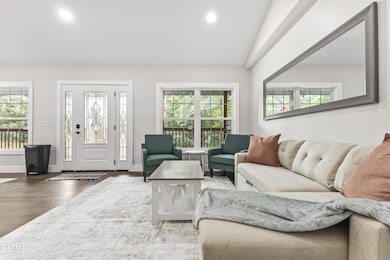 Light-filled Living Room