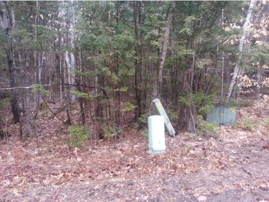 Lot 15 Judges, Thornton, NH 03223 - photo 6