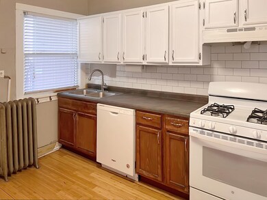 131 N Addison Ave unit 3, Elmhurst, IL 60126 - photo 7