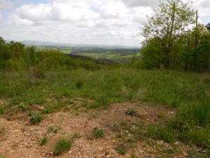 property (3)