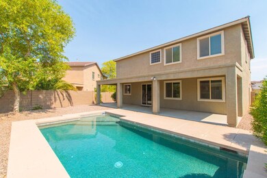 39 Back Yard
