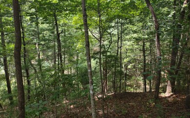 Additional View