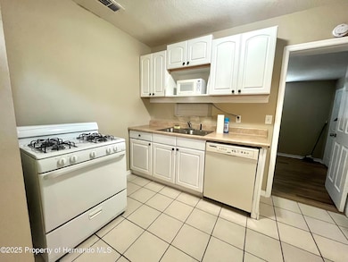 1032 Marlow Ave, Spring Hill, FL 34606 - photo 6