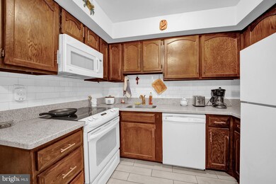 Altemus Farms unit G2, Brookhaven, PA 19015 - photo 4