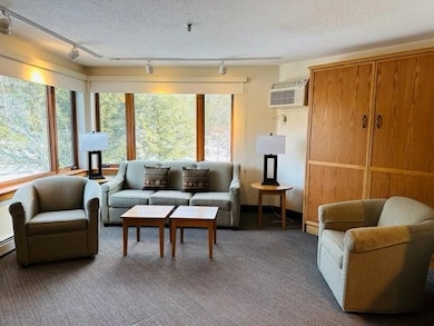 90 Loon Mountain Rd unit 1203A, Lincoln, NH 03251 - photo 2