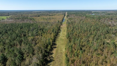 0 Highway 17 unit 21752659, Midville, GA 30441 - photo 4