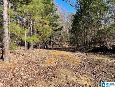 8924 Pine Mountain Rd, Pinson, AL 35126 - photo 4