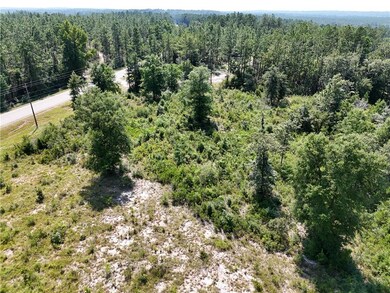 Bird's eye view of a heavily wooded area