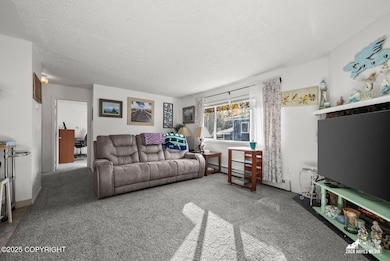 158 Dean Place, Anchorage, AK 99504 - photo 3