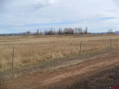 18184 Road 21, Cortez, CO 81321 - photo 4