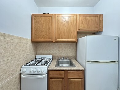 434 W Wellington Ave unit 207, Chicago, IL 60657 - photo 3