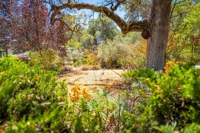 6714 Acorn Hill Rd, Placerville, CA 95667 - photo 6