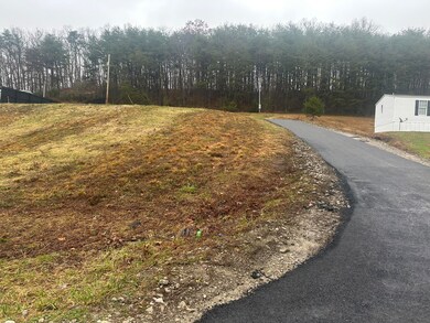 293   Lot 3 Freeman Branch Rd unit Lot 3, East Bernstadt, KY 40729 - photo 6