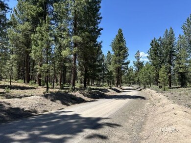 0 Sprague River unit 3007651, Chiloquin, OR 97624 - photo 5