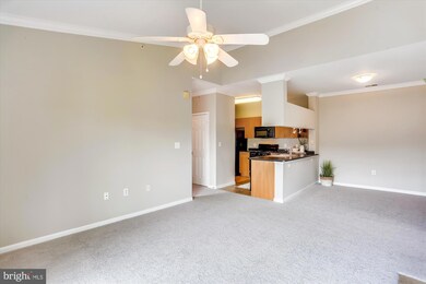 13500 Derry Glen Ct unit 402, Germantown, MD 20874 - photo 4