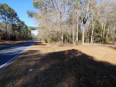 4281 Niagara Carthage Rd, Carthage, NC 28327 - photo 4